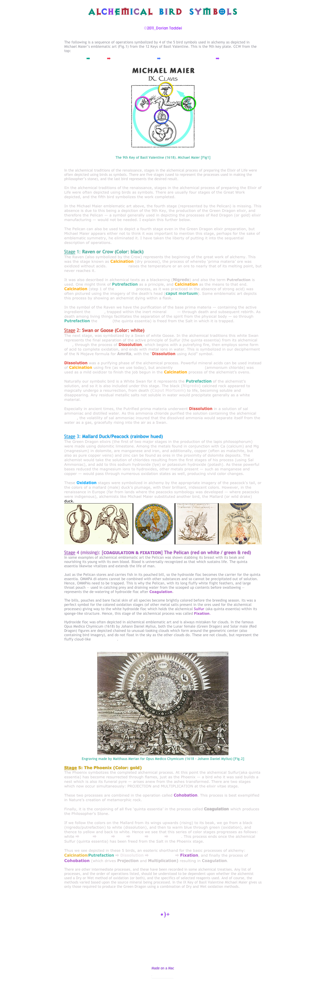 ALCHEMICAL  BIRD  SYMBOLS
(Alchemical Operations Symbolized Through Bird Imagery)

©2011_Dorian Taddei


The following is a sequence of operations symbolized by 4 of the 5 bird symbols used in alchemy as depicted in Michael Maier’s emblematic art (Fig.1) from the 12 Keys of Basil Valentine. This is the 9th key plate. CCW from the top:

➡ RAVEN ➡ WHITE SWAN/GOOSE ➡ MALLARD DUCK/PEACOCK ➡ PHOENIX

￼

The 9th Key of Basil Valentine (1618). Michael Maier [Fig1]


In the alchemical traditions of the renaissance, stages in the alchemical process of preparing the Elixir of Life were often depicted using birds as symbols. There are five stages (used to represent the processes used in making the philosopher’s stone), and the last bird represents the desired result.

IIn the alchemical traditions of the renaissance, stages in the alchemical process of preparing the Elixir of Life were often depicted using birds as symbols. There are usually four stages of the Great Work depicted, and the fifth bird symbolizes the work completed.

In the Michael Maier emblematic art above, the fourth stage (represented by the Pelican) is missing. This absence is due to this being a depiction of the 9th Key, the production of the Green Dragon elixir, and therefore the Pelican — a symbol generally used in depicting the processes of Red Dragon (or gold) elixir manufacturing — would not be needed. I explain this further below.

The Pelican can also be used to depict a fourth stage even in the Green Dragon elixir preparation, but Michael Maier appears either not to think it was important to mention this stage, perhaps for the sake of emblematic symmetry, he eliminated it. I have taken the liberty of putting it into the sequential description of operations.

Stage 1: Raven or Crow (Color: black)
The Raven (also symbolized by the Crow) represents the beginning of the great work of alchemy. This was the stage known as Calcination (dry process), the process of whereby ‘prima materia’ ore was oxidized without acids. Calcining raises the temperature or an ore to nearly that of its melting point, but never reaches it.

It was also described in alchemical texts as a blackening (Nigredo) and also the term Putrefaction is used. One might think of Putrefaction as a principle, and Calcination as the means to that end. Calcination (step 1 of the oxidation process, as it was practiced in the absence of strong acid) was often pictured using the imagery of the death’s head (caput mortuum). Some emblematic art depicts this process by showing an alchemist dying within a flask.

In the symbol of the Raven we have the purification of the base prima materia — containing the active ingredient the Sulfur, trapped within the inert mineral Salt — through death and subsequent rebirth. As death among living things facilitates the separation of the spirit from the physical body — so through Putrefaction the Sulfur (the quinta essentia) is freed from the Salt in which it is trapped.

Stage 2: Swan or Goose (Color: white)
The next stage, was symbolized by a Swan of white Goose. In the alchemical traditions this white Swan represents the final separation of the active principle of Sulfur (the quinta essentia) from its alchemical Salt, through the process of Dissolution, which begins with a putrefying fire, then employs some form of acid to complete oxidation, and ends with metal ions in water. This is symbolized in our decipherment of the N Mojave formula for Amrita, with the “Dissolution using Acid” symbol.

Dissolution was a purifying phase of the alchemical process. Powerful mineral acids can be used instead of Calcination using fire (as we use today), but anciently Sal Ammoniac (ammonium chloride) was used as a mild oxidizer to finish the job begun in the Calcination process of the alchemist’s ovens.

Naturally our symbolic bird is a White Swan for it represents the Putrefaction of the alchemist’s solution, and so it is also included under this stage. The black (Nigredo) calcined rock appeared to magically undergo a resurrection, from death (Caput Mortuem) to life, becoming soluble and disappearing. Any residual metallic salts not soluble in water would precipitate generally as a white material.

Especially in ancient times, the Putrified prima materia underwent Dissolution in a solution of sal ammoniac and distilled water. As this ammonia chloride purified the solution containing the alchemical Sulfur, the volatility of sal ammoniac insured that the dissolved ammonia would separate itself from the water as a gas, gracefully rising into the air as a Swan.


Stage 3: Mallard Duck/Peacock (rainbow hued)
The Green Dragon elixirs (the first of two major stages in the production of the lapis philosophorum) were made using dolomitic limestone. Among the metals found in conjunction with Ca (calcium) and Mg (magnesium) in dolomite, are manganese and iron, and additionally, copper (often as malachite, but also as pure copper veins) and zinc can be found as ores in the proximity of dolomite deposits. The alchemist would take the solution of chlorides resulting from the first stages of his process (using Sal Ammoniac), and add to this sodium hydroxide (lye) or potassium hydroxide (potash). As these powerful bases reduced the magnesium ions to hydroxides, other metals present — such as manganese and copper — would pass through numerous oxidation states as well, producing vivid color changes.

These Oxidation stages were symbolized in alchemy by the appropriate imagery of the peacock's tail, or the colors of a mallard (male) duck’s plumage, with their brilliant, iridescent colors. However, in the renaissance in Europe (far from lands where the peacocks symbology was developed — where peacocks were indigenous), alchemists like Michael Maier substituted another bird, the Mallard (or wild drake) duck.
￼

Stage 4 (missing): [COAGULATION & FIXATION] The Pelican (red on white / green & red)
In some examples of alchemical emblematic art the Pelican was shown stabbing its breast with its beak and nourishing its young with its own blood. Blood is universally recognized as that which sustains life. The quinta essentia likewise vitalizes and extends the life of man.

Just as the Pelican stores and carries fish in its pouched bill, so the hydroxide floc becomes the carrier for the quinta essentia. OMMPA di-atoms cannot be combined with other substances and so cannot be precipitated out of solution. Hence, OMMPAs need to be trapped. This is why the Pelican, with its long fluffy white flight feathers, and large throat pouch — used in catching prey and draining water from the scooped up contents before swallowing — represents the de-watering of hydroxide floc after Coagulation.

The bills, pouches and bare facial skin of all species become brightly colored before the breeding season. its was a perfect symbol for the colored oxidation stages (of other metal salts present in the ores used for the alchemical processes) giving way to the white hydroxide floc which holds the alchemical Sulfur (aka quinta essentia) within its sponge-like structure. Hence, this stage of the alchemical process was called Fixation.

Hydroxide floc was often depicted in alchemical emblematic art and is always mistaken for clouds. In the famous Opus Medico Chymicum (1618) by Johann Daniel Mylius, both the Lunar female (Green Dragon) and Solar male (Red Dragon) figures are depicted chained to unusual-looking clouds which form around the geometric center (also containing bird imagery), and do not float in the sky as the other clouds do. These are not clouds, but represent the fluffy cloud-like hydroxide floc.


￼
Engraving made by Matthaus Merian for Opus Medico Chymicum (1618 - Johann Daniel Mylius) [Fig.2]

Stage 5: The Phoenix (Color: gold)
The Phoenix symbolizes the completed alchemical process. At this point the alchemical Sulfur(aka quinta essentia) has become resurrected through flames, just as the Phoenix — a bird who it was said builds a nest which is also its funeral pyre — arises anew from the ashes transformed. There are two stages which now occur simultaneously: PROJECTION and MULTIPLICATION at the elixir vitae stage.

These two processes are combined in the operation called Cohobation. This process is best exemplified in Nature’s creation of metamorphic rock.

Finally, it is the conjoining of all five ‘quinta essentia’ in the process called Coagulation which produces the Philosopher’s Stone.

If we follow the colors on the Mallard from its wings upwards (rising) to its beak, we go from a black (nigredo/putrefaction) to white (dissolution), and then to warm blue through green (oxidation), and thence to yellow and back to white. Hence we see that this series of color stages progresses as follows: white ➡ black ➡ (clear) ➡ blue ➡ green ➡ yellow ➡ white. This process ends once the alchemical Sulfur (quinta essentia) has been freed from the Salt in the Phoenix stage.

Thus we see depicted in these 5 birds, an esoteric shorthand for the basic processes of alchemy: Calcination/Putrefaction ➡ Dissolution ➡ Purification ➡ Fixation, and finally the process of Cohobation (which drives Projection and Multiplication) resulting in Coagulation.

There are other intermediate processes, and these have been recorded in some alchemical treatises. Any list of processes, and the order of operations listed, should be understood to be dependent upon whether the alchemist used a Dry or Wet method of oxidation (or both), and the specifics of selected reagents used. And of course, the methods varied based upon the source mineral being processed. In the IX Key of Basil Valentine Michael Maier gives us only those required to produce the Green Dragon using a combination of Dry and Wet oxidation methods.





  •)+






Made on a Mac

Saturn Studios